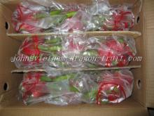 Red Dragon Fruit ( Pitayhaya fruit)