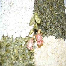 pumpkin seeds and kernels