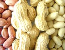 import peanut kernel shell from china