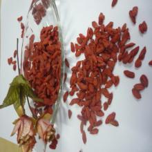 goji berry wolfberry 2013crop