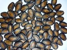 new crop melon seeds chiense supplier