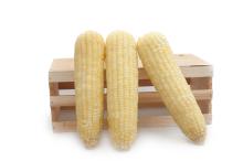 White Waxy Frozen Corn Whole