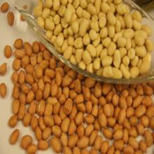 hot sale-wholesale chinese peanuts