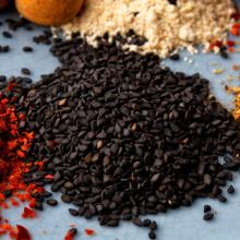  Sesame   Extract  Powder 90%