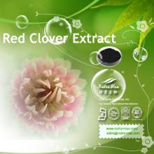 Red Clover Extract 20% Isoflavones