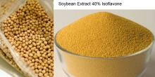  Soy   bean   Extract  40% Isoflavines