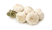  Braid  Garlic BG01