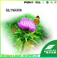 Milk Thistle Extract Silymarin 80%