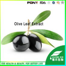 Olive Leaf Extract  Oleuropein   20 % ,40% ,Hydroxytyrosol 5%,10%HPLC,