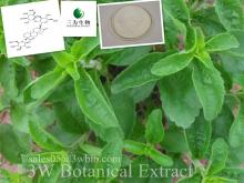 Stevia Extract