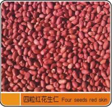 RED SKIN PEANUT