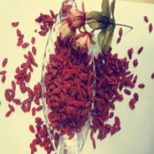 china goji berry medal wolfberry  dried   fruit 