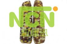 Mottled Waxy Frozen Corn Cob