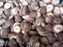  Frozen   Mushroom   Shiitake 