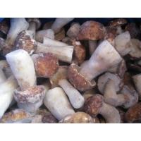 Frozen Mushroom  Boletus   Edulis 