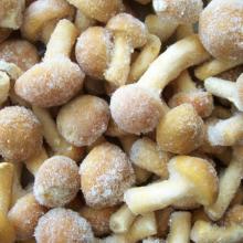 Frozen Mushroom Nameko