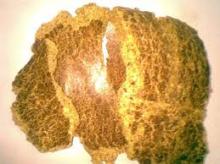 Cotton seed meal/cake