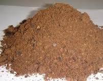 Kernel meal/cake