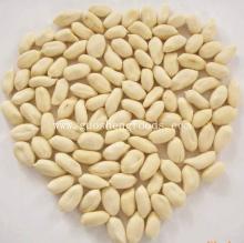  2013  crop big size blanched  peanut   kernels 