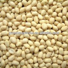 2013 crop round shape blanched groundnut kernels