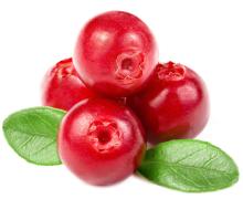 CRANBERRY SEED OIL