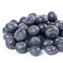 BLUEBERRY SEED OIL