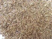 fennel seeds, mustard seeds, fenugreek seeds, saffron, nutmeg