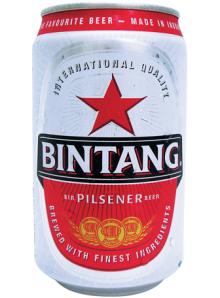 Bintang Beer 330 ml x 24 cans