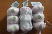2013 Normal White Garlic 2