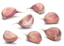 2013 Normal White Garlic 3