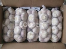 2013 Normal White Garlic 4