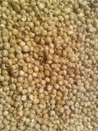 sorghum, grain, oats, yellow corn,barley
