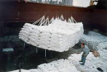 icumsa sugar 45