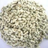 cotton seeds