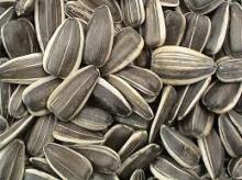 SUNFLOWER SEEDS