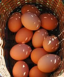 Fresh Brown Chicken Eggs