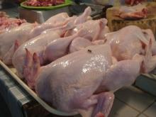 Whole Frozen Chicken Halal RHINHO