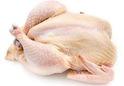 Whole Raw Chicken