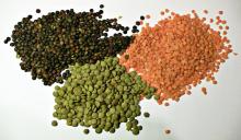 Pulses