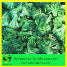 Frozen Broccoli Florets IQF