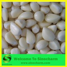 Peeled Garic Frozen Garlic Cloves (IQF garlic segments)