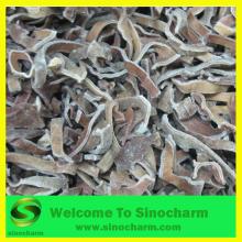 IQF Black Fungus Mushroom Frozen