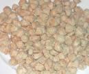 Organic soy protein