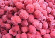 IQF Frozen Raspberry wholes
