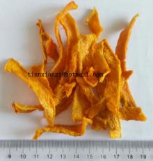 new pumpkin slice