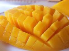 Fresh  Philippine   Mango 