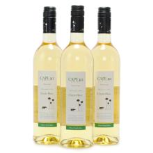 2013 Cape 312 Chenin Blanc Gordon′s Bay