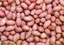 Red skin peanut kernels 50/60