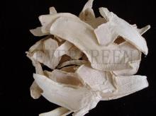 Dried  horseradish   slice 