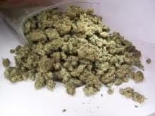 KUSH, HASH,OFGN KUSH,MARIJNA, CANABIS STRAINS FOR SALE